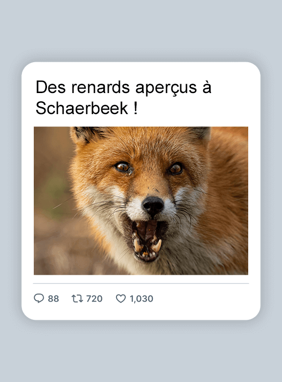 Renard