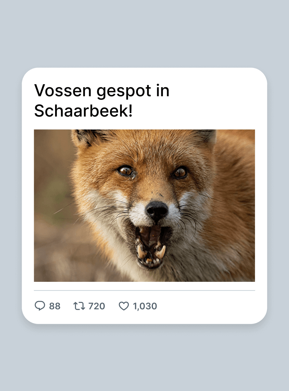 Vos
